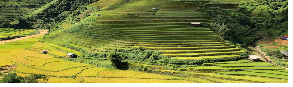 Traditional rice terraces in the area of Tu-Lé, Vietnam © INRAE, E. Fournier