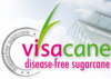 Sugar cane quarantine - Visacane